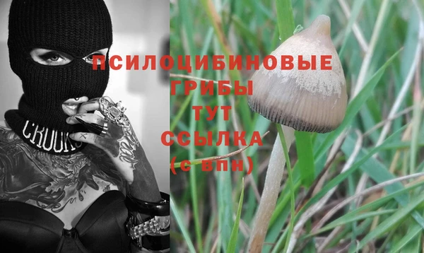 бошки Алексеевка